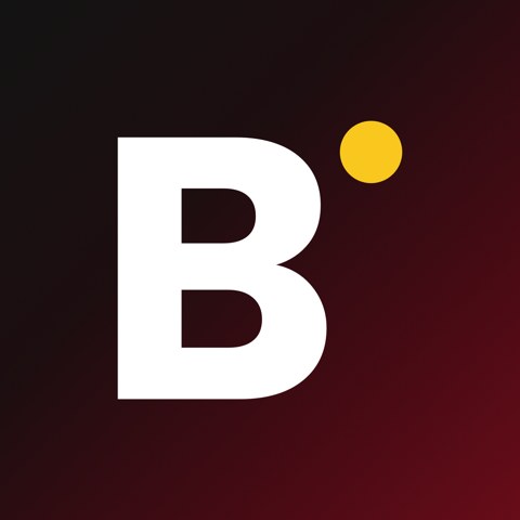 The Business Playbook logo.